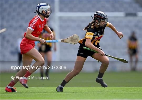 Cork v Kilkenny - All-Ireland Senior Camogie Championship Semi-Final