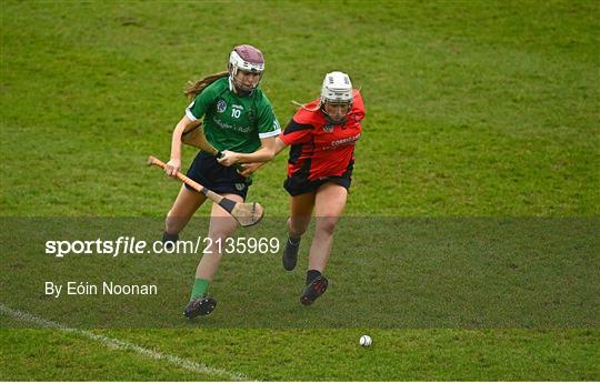 Sarsfields v Oulart the Ballagh - 2020 AIB All-Ireland Senior Club Camogie Championship Final