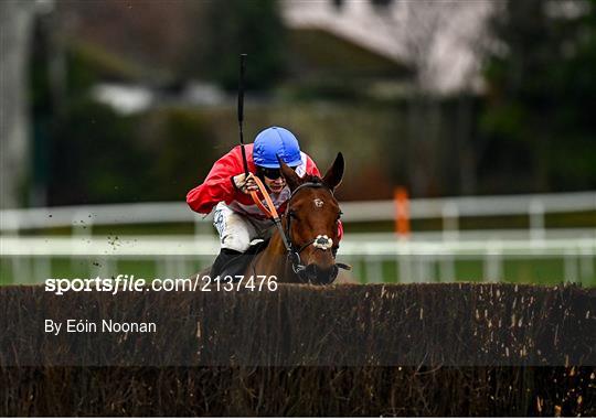 Leopardstown Christmas Festival - Day Two