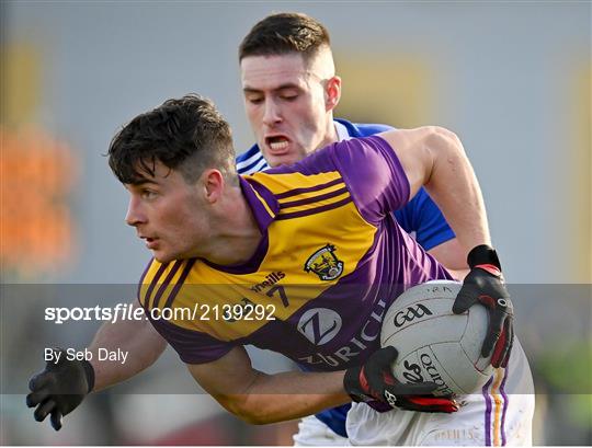 Wexford v Laois - O'Byrne Cup Group B