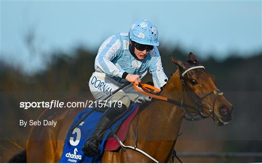 Dublin Racing Festival - Day Two