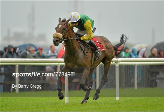 Galway Racing Festival - Wednesday 31st July 2013