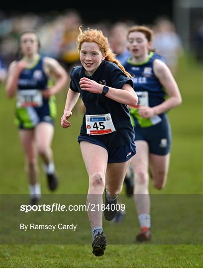 Irish Life Health All-Ireland Schools Cross Country