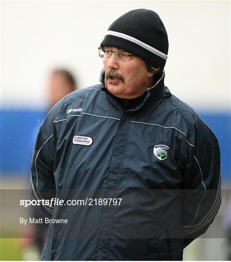 Laois v Dublin - Allianz Hurling League Division 1 Group B