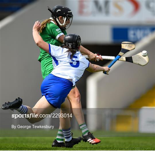 Waterford v Limerick - Glen Dimplex All-Ireland Senior Camogie Quarter Final