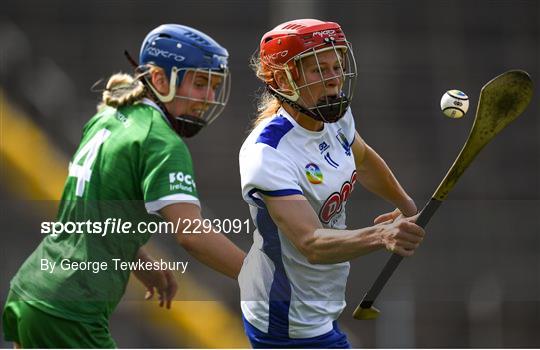 Waterford v Limerick - Glen Dimplex All-Ireland Senior Camogie Quarter Final