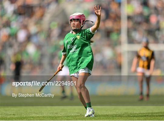 INTO Cumann na mBunscol GAA Respect Exhibition Go Games at Kilkenny v Limerick - GAA Hurling All-Ireland Senior Championship Final