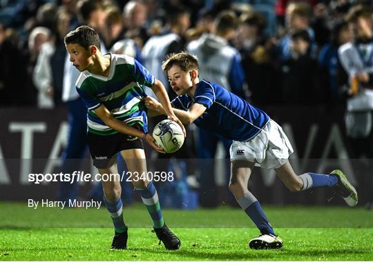 Half-time Minis at Leinster v Benetton - United Rugby Championship