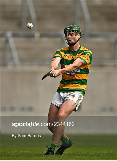 Erin's Own v Blackrock - Cork County Premier Senior Club Hurling Championship Semi-Final