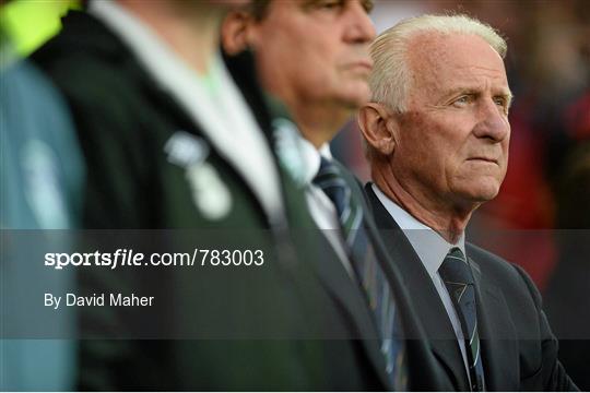 Wales v Republic of Ireland - International Friendly