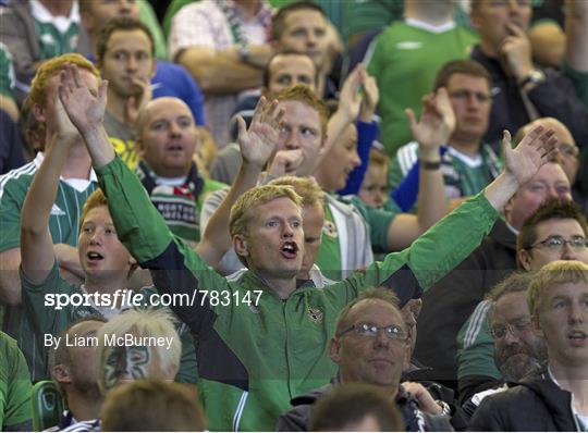 Northern Ireland v Russia - 2014 FIFA World Cup Qualifier Group F Refixture