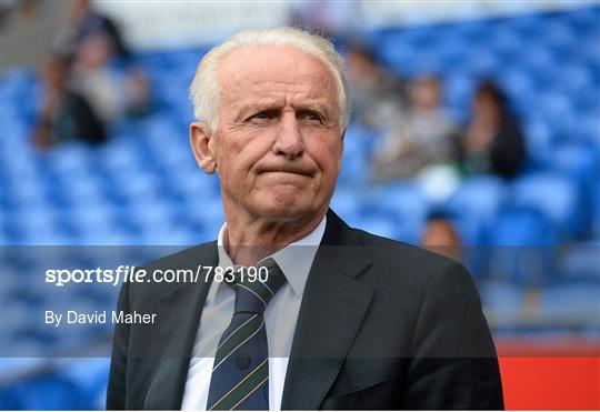 Wales v Republic of Ireland - International Friendly