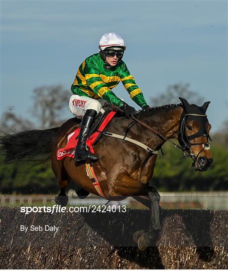 Dublin Racing Festival - Day Two