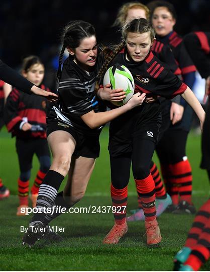 Bank of Ireland Half-Time Minis at Leinster v Dragons - United Rugby Championship