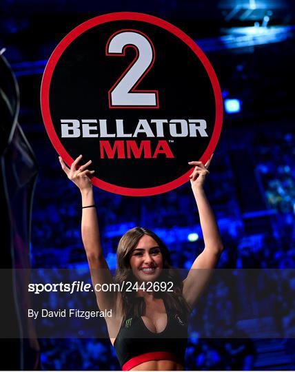 Bellator 291