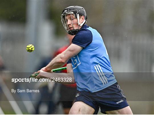 Dublin v Laois - Allianz Hurling League Division 1 Group B