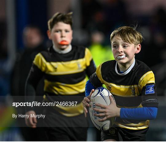 Bank of Ireland Half-time Minis at Leinster v DHL Stormers - United Rugby Championship