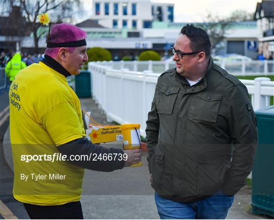 Activities at Leinster v DHL Stormers - United Rugby Championship