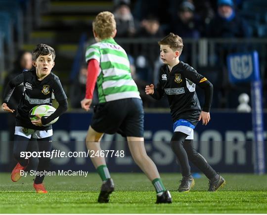 Bank of Ireland Half-time Minis at Leinster v DHL Stormers - United Rugby Championship