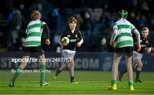 Bank of Ireland Half-time Minis at Leinster v DHL Stormers - United Rugby Championship