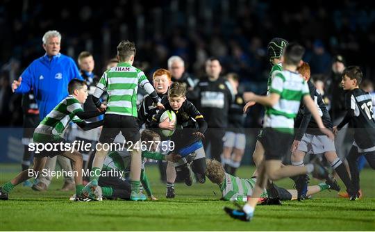 Bank of Ireland Half-time Minis at Leinster v DHL Stormers - United Rugby Championship