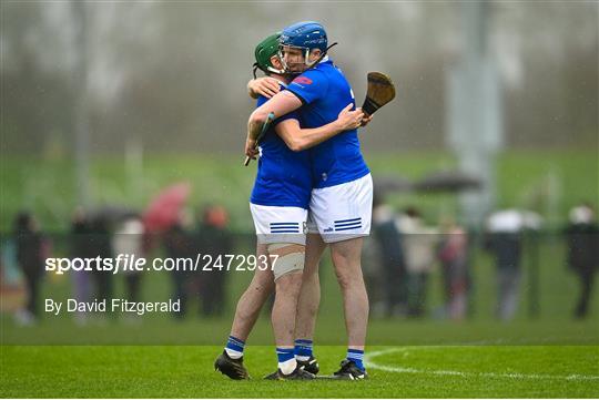 Cavan v Leitrim - Allianz Hurling League Division 3B Final