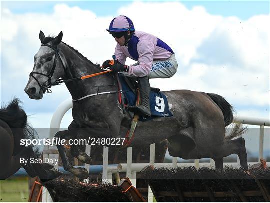 Fairyhouse Easter Festival - Day Three