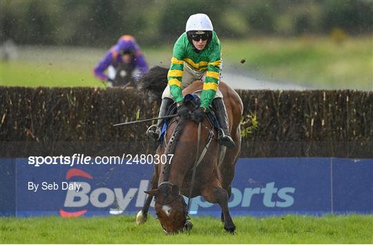 Fairyhouse Easter Festival - Day Three