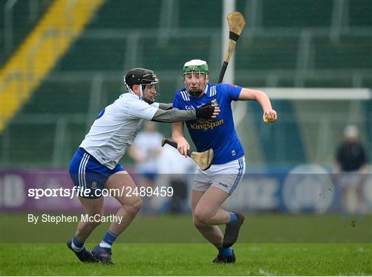 Cavan v Monaghan - Lory Meagher Cup Round 2