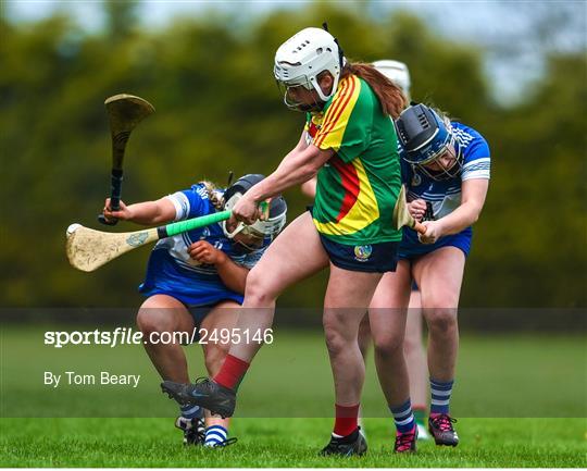 Carlow v Laois - Electric Ireland Camogie Minor B All-Ireland Championship Semi-Final