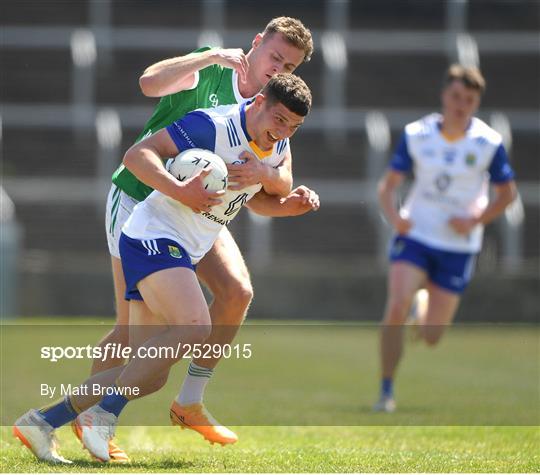 Limerick v Wicklow  - Tailteann Cup Group 3 Round 3