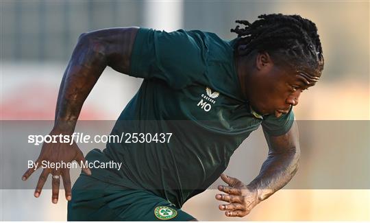 Republic of Ireland Training Session