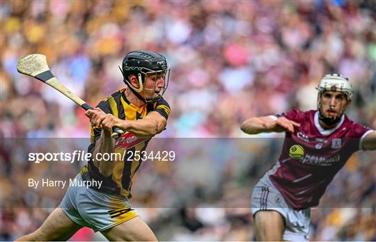 Kilkenny v Galway - Leinster GAA Hurling Senior Championship Final