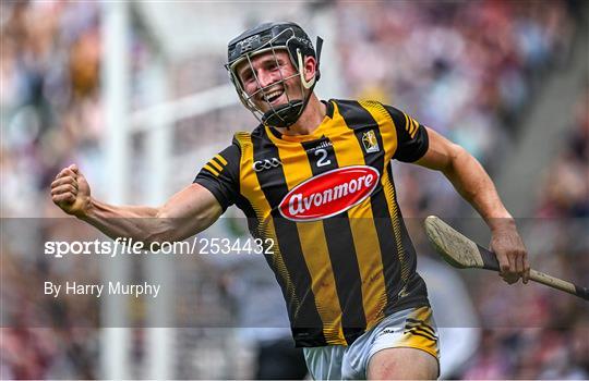 Kilkenny v Galway - Leinster GAA Hurling Senior Championship Final