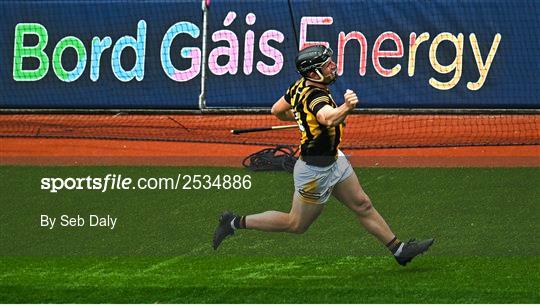 Kilkenny v Galway - Leinster GAA Hurling Senior Championship Final