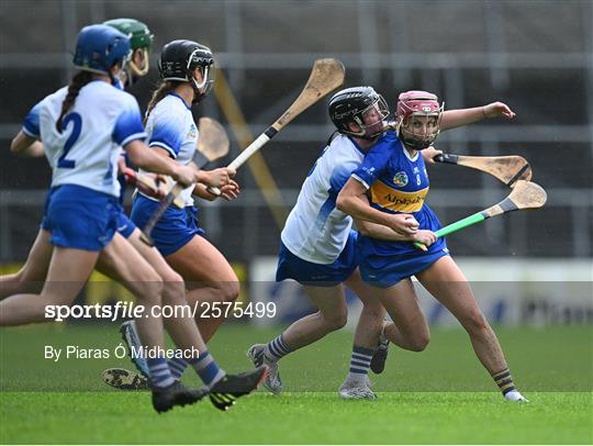 Tipperary v Waterford - All-Ireland Camogie Championship Semi-Final