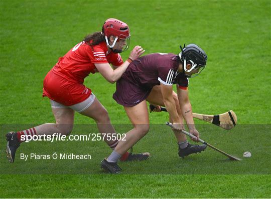 Cork v Galway - All-Ireland Camogie Championship Semi-Final