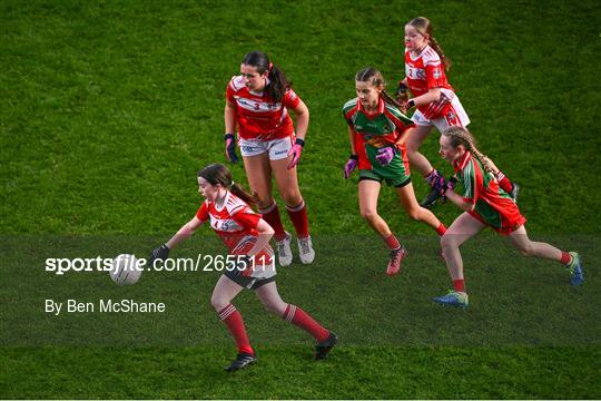 Olympic Council of Ireland - 130003 - Sportsfile