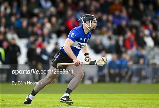 Ballygunner v Sarsfields - AIB Munster GAA Hurling Senior Club Championship Quarter-Final