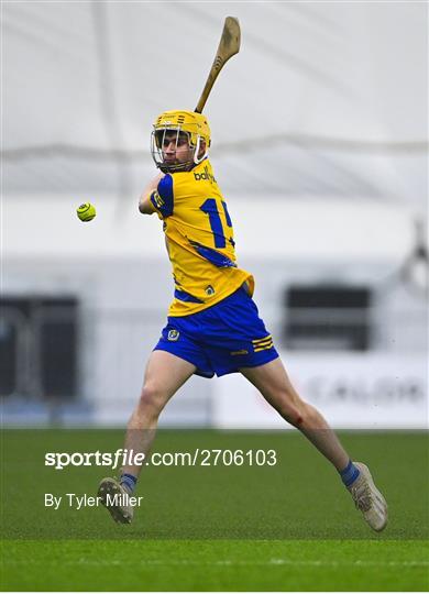 Roscommon v Galway - Connacht Hurling League Shield Final