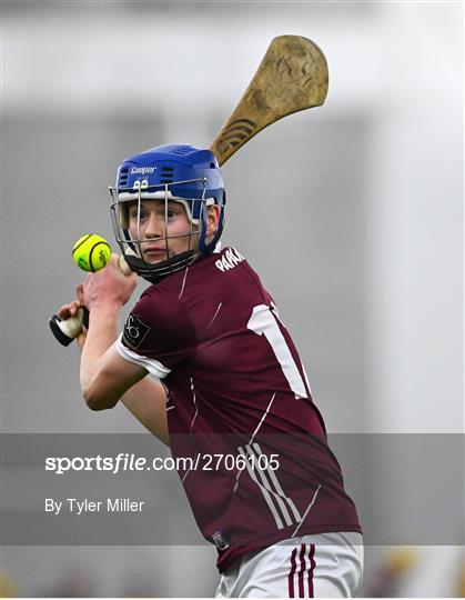 Roscommon v Galway - Connacht Hurling League Shield Final