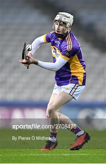 St Catherine’s v Tullogher Rosbercon - AIB GAA Hurling All-Ireland Junior Club Championship Final