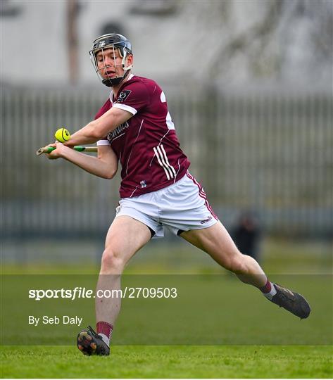 Galway v Laois - Dioralyte Walsh Cup Round 3