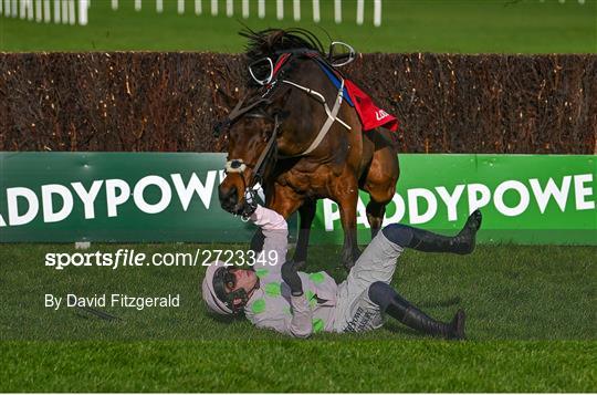 Sportsfile - Leopardstown Christmas Festival - Day Two - 2723349