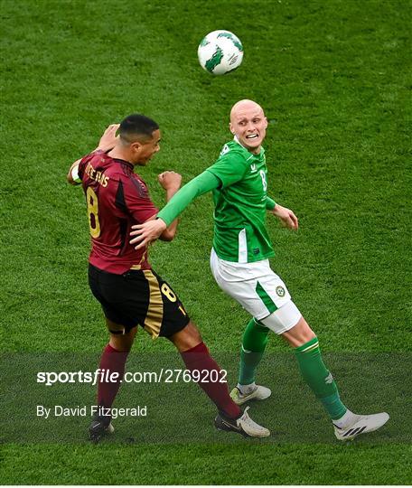 Republic of Ireland v Belgium - International Friendly