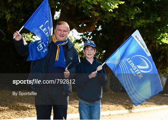 Leinster Fans at Leinster v Ospreys - Celtic League 2013/14 Round 2