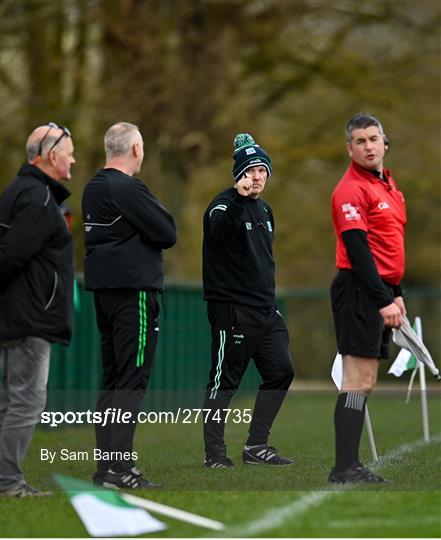 Fermanagh v Warwickshire - Allianz Hurling League Division 3B Final