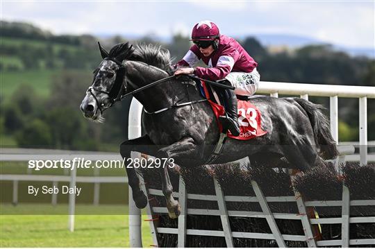 Punchestown Festival - Day Two