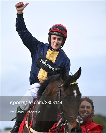 Punchestown Festival - Day Two