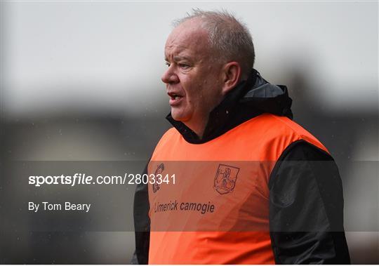 Limerick v Waterford - Munster Senior Camogie Championship Quarter-Final